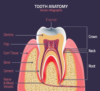 Fluoride Treatment in Huntersville